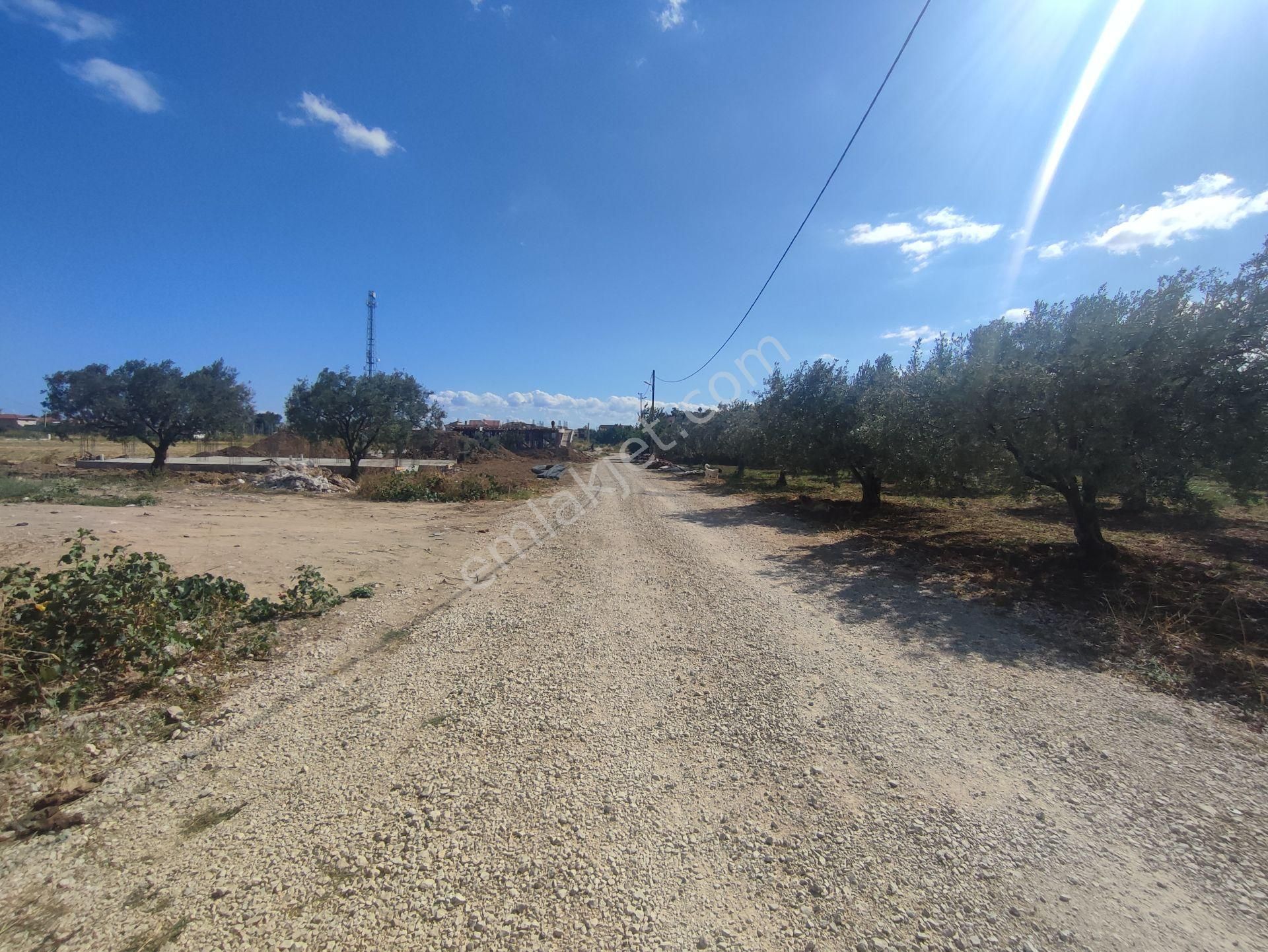 Acar Yatırımdan 410 M² % 20 Villa İmarlı Kovalık Mevkinde Arsa - Görsel 22