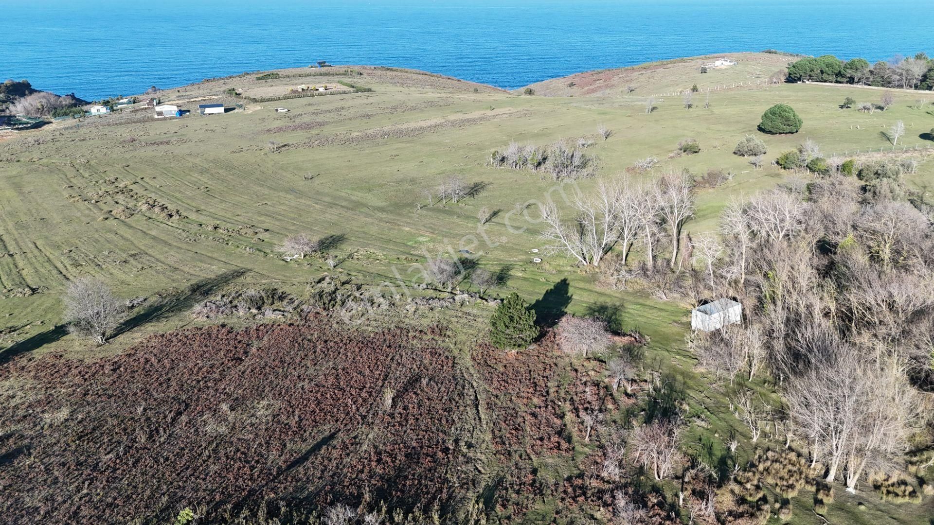 Şile Karacaköyde Deniz Manzaralı 600 M2 Arsa - Görsel 7