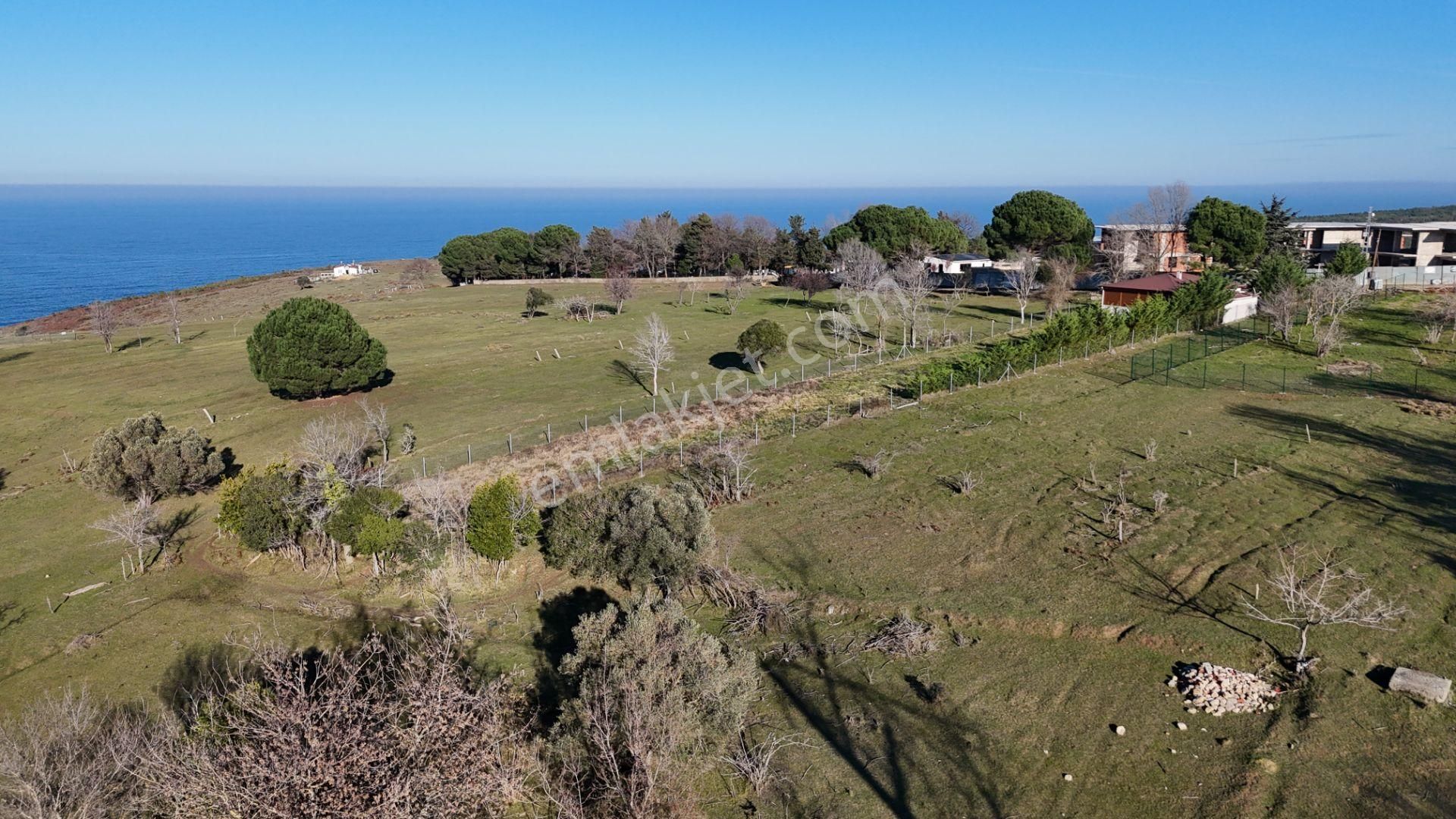 Şile Karacaköyde Deniz Manzaralı 600 M2 Arsa - Görsel 3