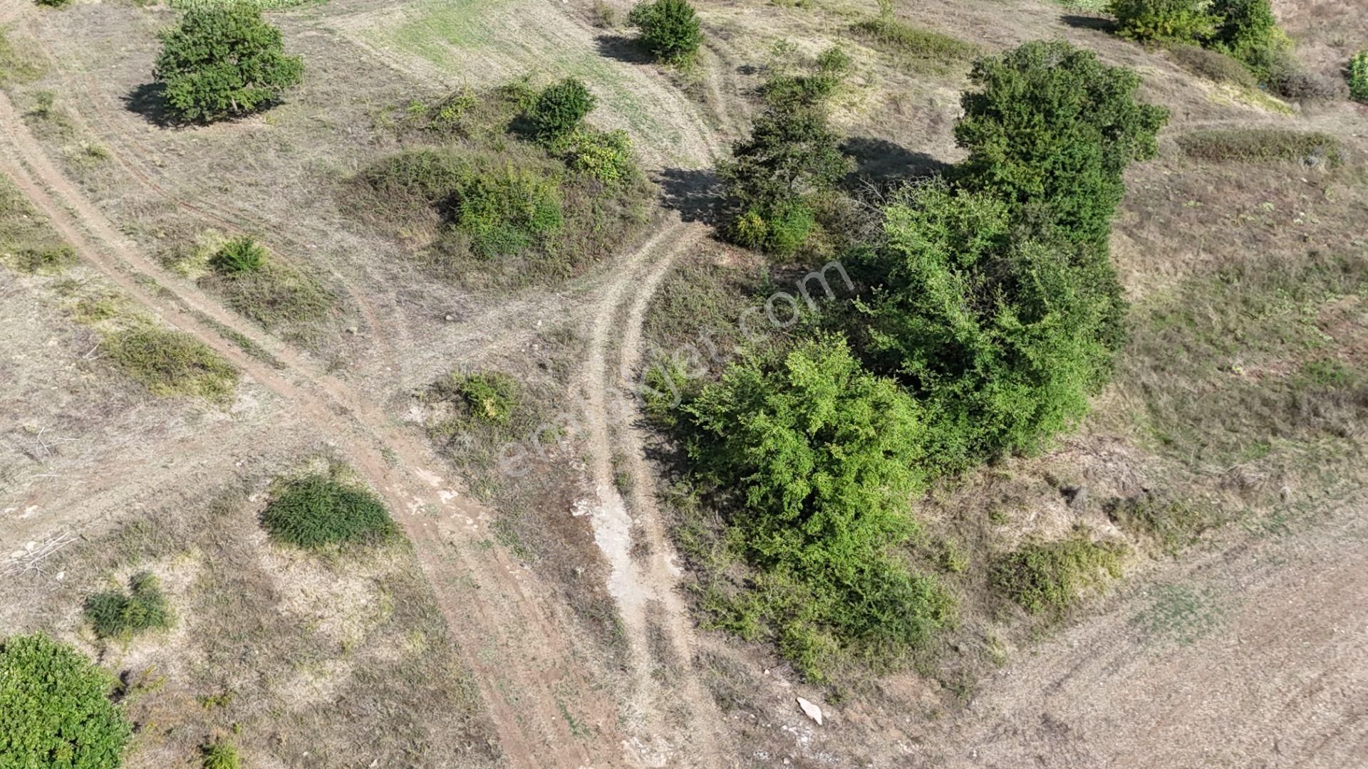 Duraçali 1718 M2 Yolu Olan Çapı Düzgün Satılık Parsel - Görsel 9