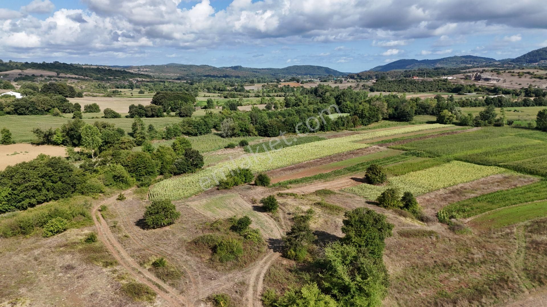 Duraçali 1718 M2 Yolu Olan Çapı Düzgün Satılık Parsel - Görsel 7