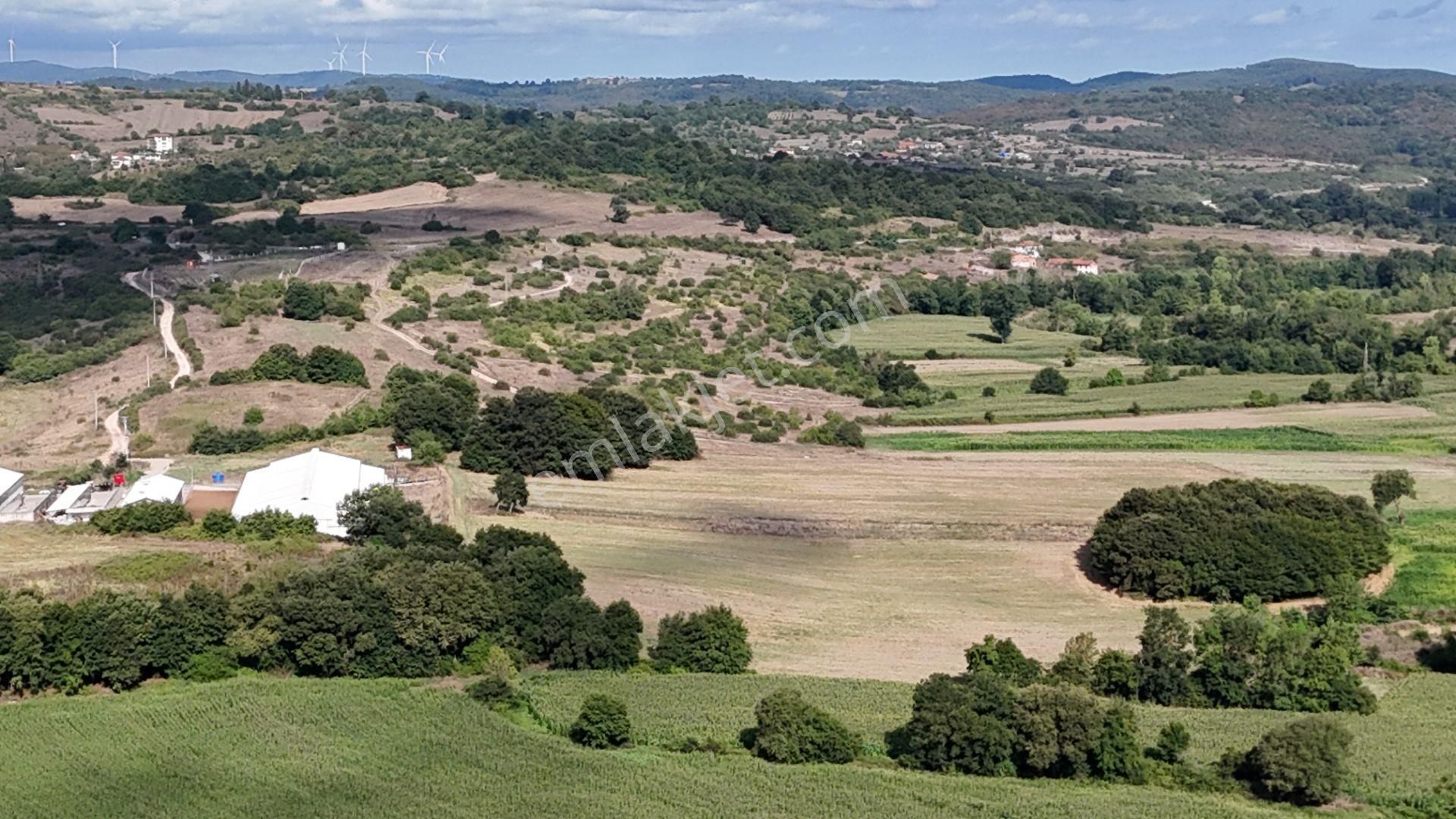 Duraçali 1718 M2 Yolu Olan Çapı Düzgün Satılık Parsel - Görsel 18