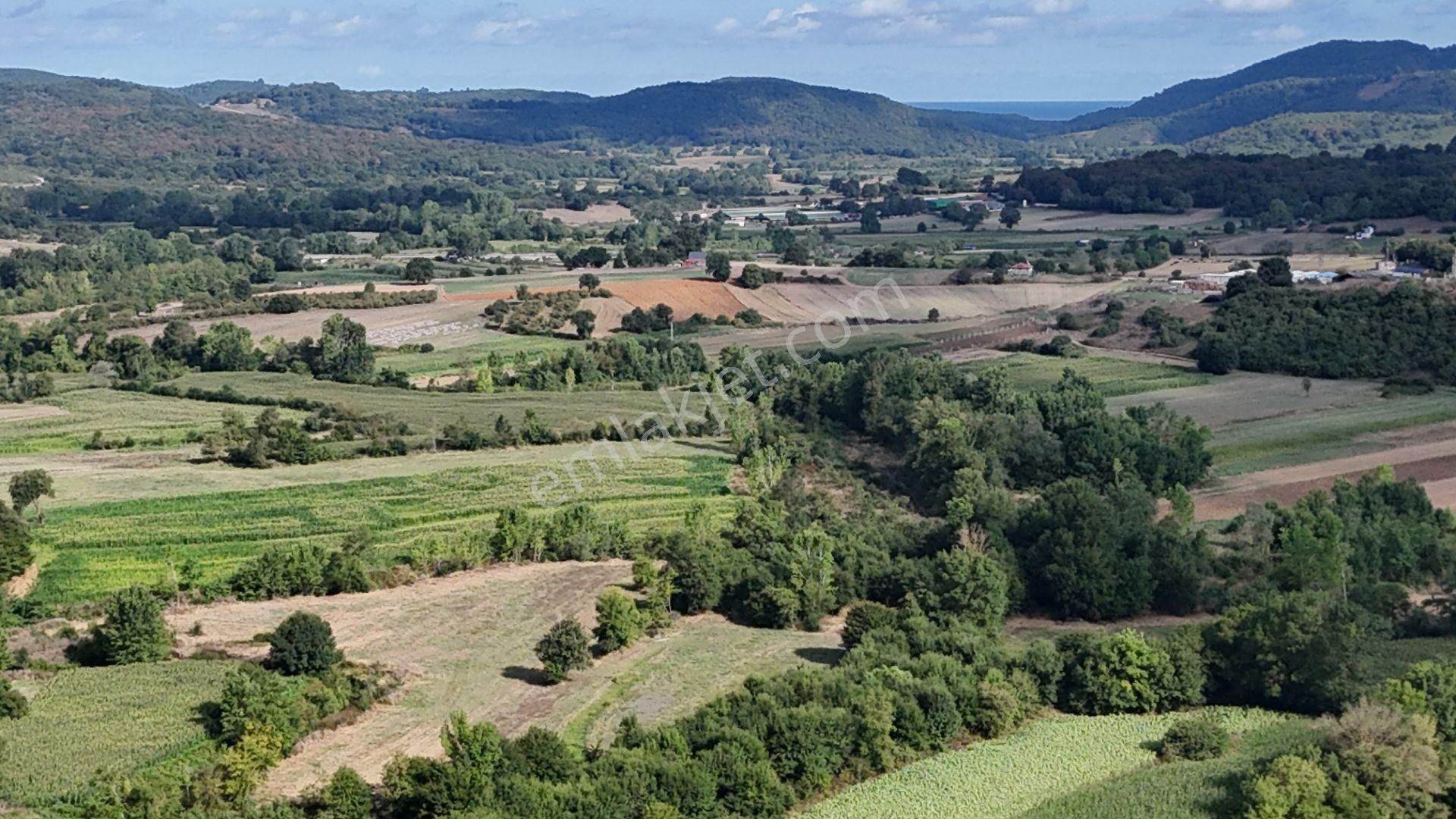 Duraçali 1718 M2 Yolu Olan Çapı Düzgün Satılık Parsel - Görsel 17