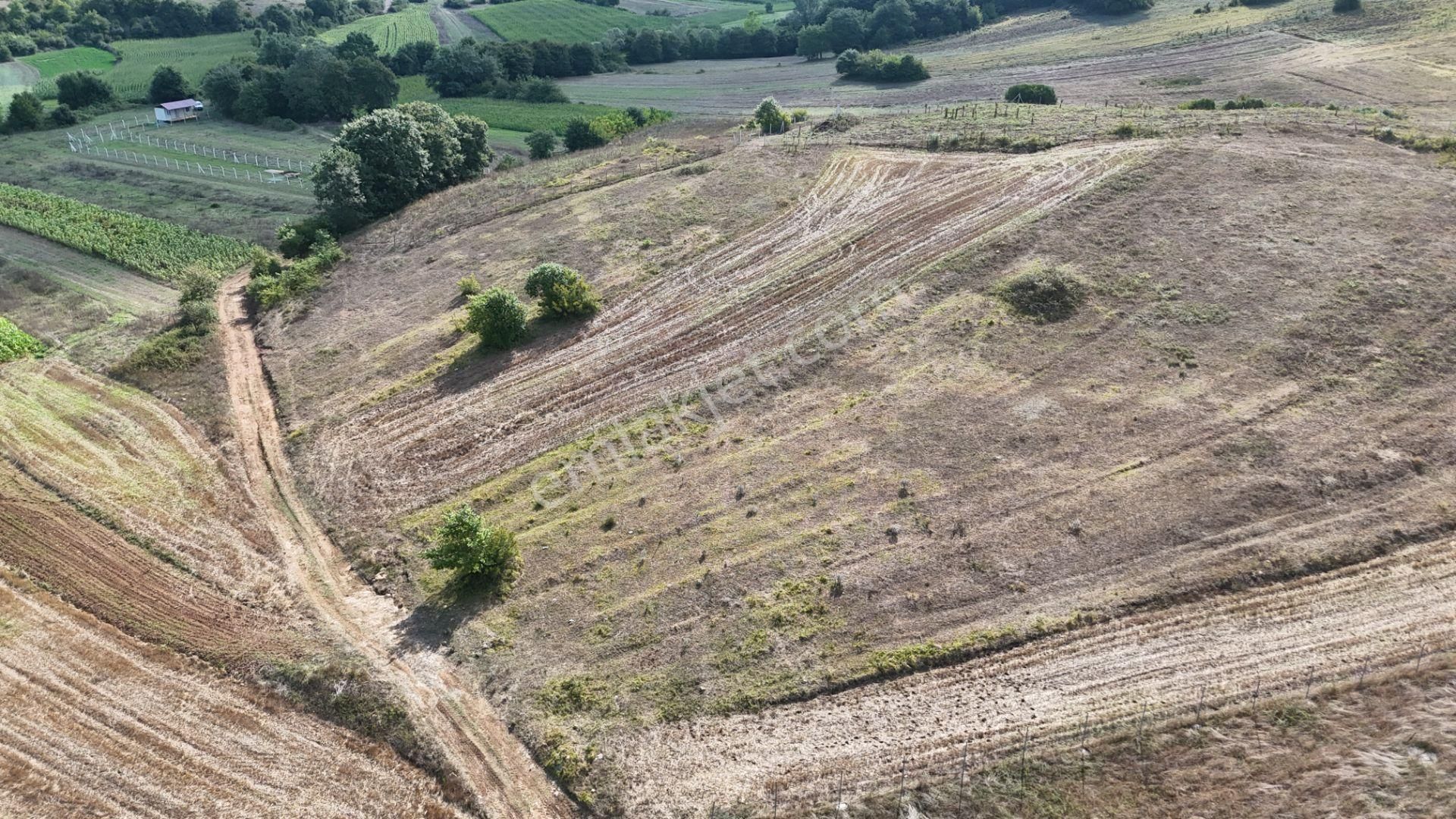 Duraçali 1718 M2 Yolu Olan Çapı Düzgün Satılık Parsel - Görsel 2