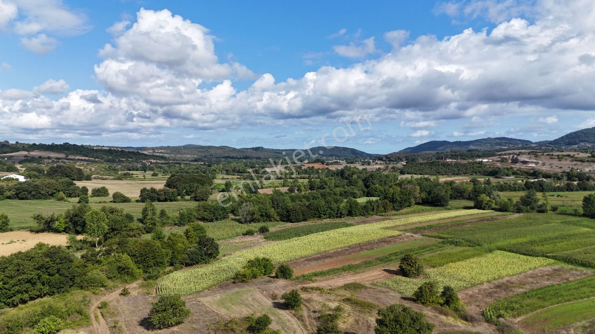 Duraçali 1718 M2 Yolu Olan Çapı Düzgün Satılık Parsel - Görsel 8