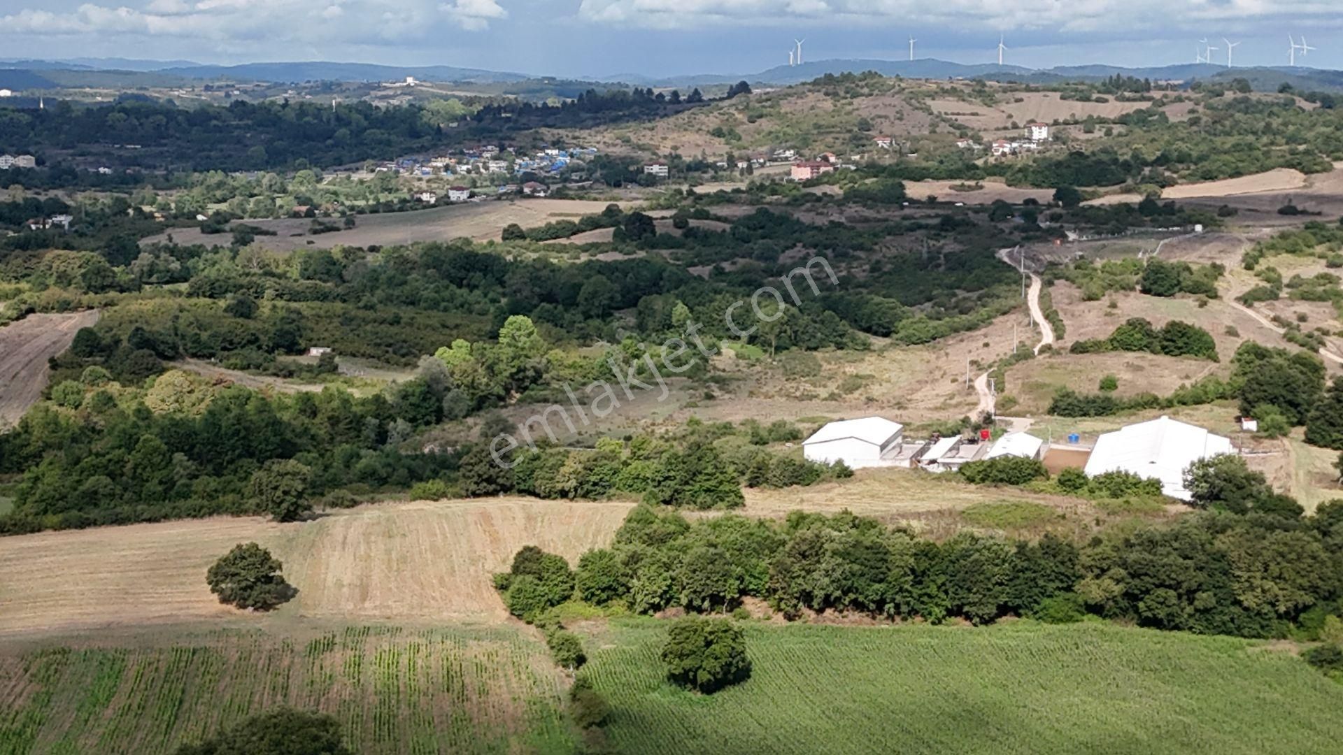 Duraçali 1718 M2 Yolu Olan Çapı Düzgün Satılık Parsel - Görsel 19