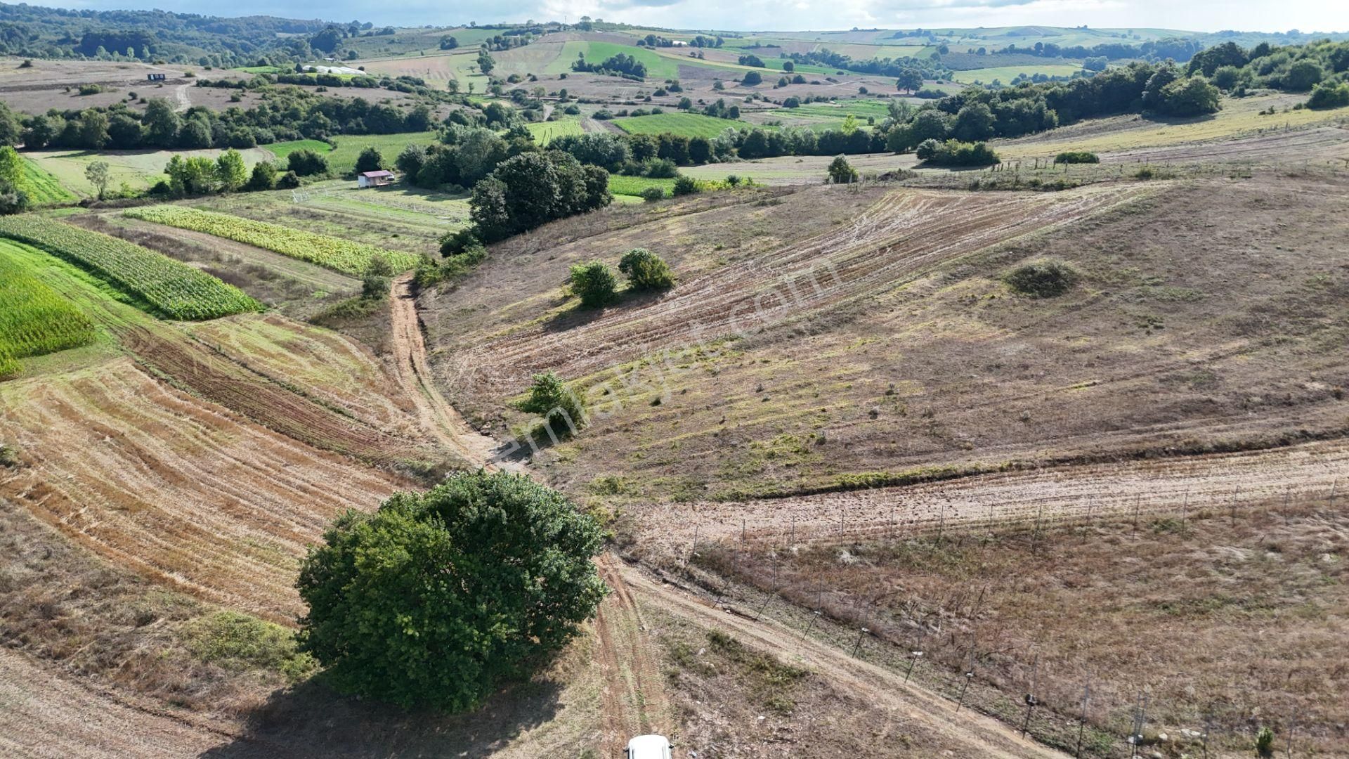 Duraçali 1718 M2 Yolu Olan Çapı Düzgün Satılık Parsel - Görsel 4