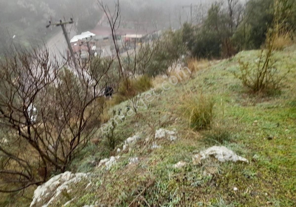 Bandırma Edincik Satılık Bağ & Bahçe Yatırım Gayrimenkul Den Edincik Vadi Kafenın Yuz Metre Ustunde Deniz Manzaralı Satılık Zeytin Bahces