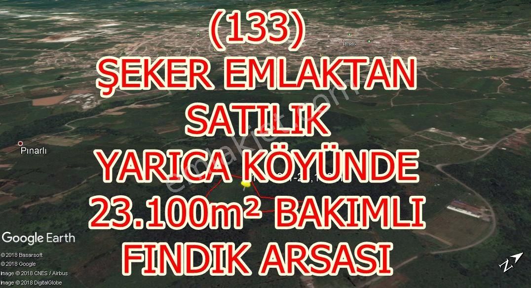 Hendek Yeniköy Satılık Tarla 133-şeker Emlaktan İlçeye Yakın 23 Dönüm Uygun Satılık Fındık Bahçesi