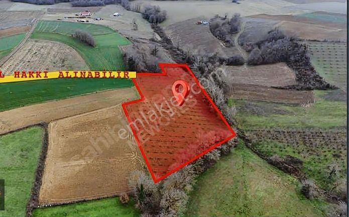 Resmi Yola 1 Parsel Hıdırlar Köyünde Fındık Bahçesi 8.8 Dönüm - Görsel 24