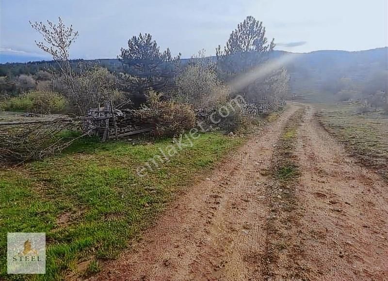 Kastamonu Merkez Karamukmolla Köyü (Merkez) Satılık Tarla KASTAMONU MERKEZ KARAMUKMOLLA'DA 4.150 M2 YENİ FIRSAT