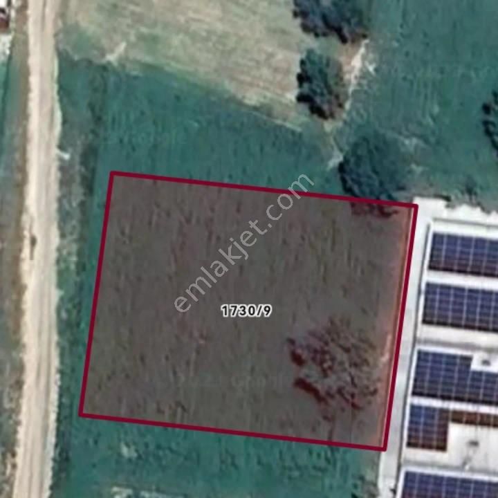 Bursa İnegöl Akhisar Sanayi İmarlı Arsa - Görsel 2