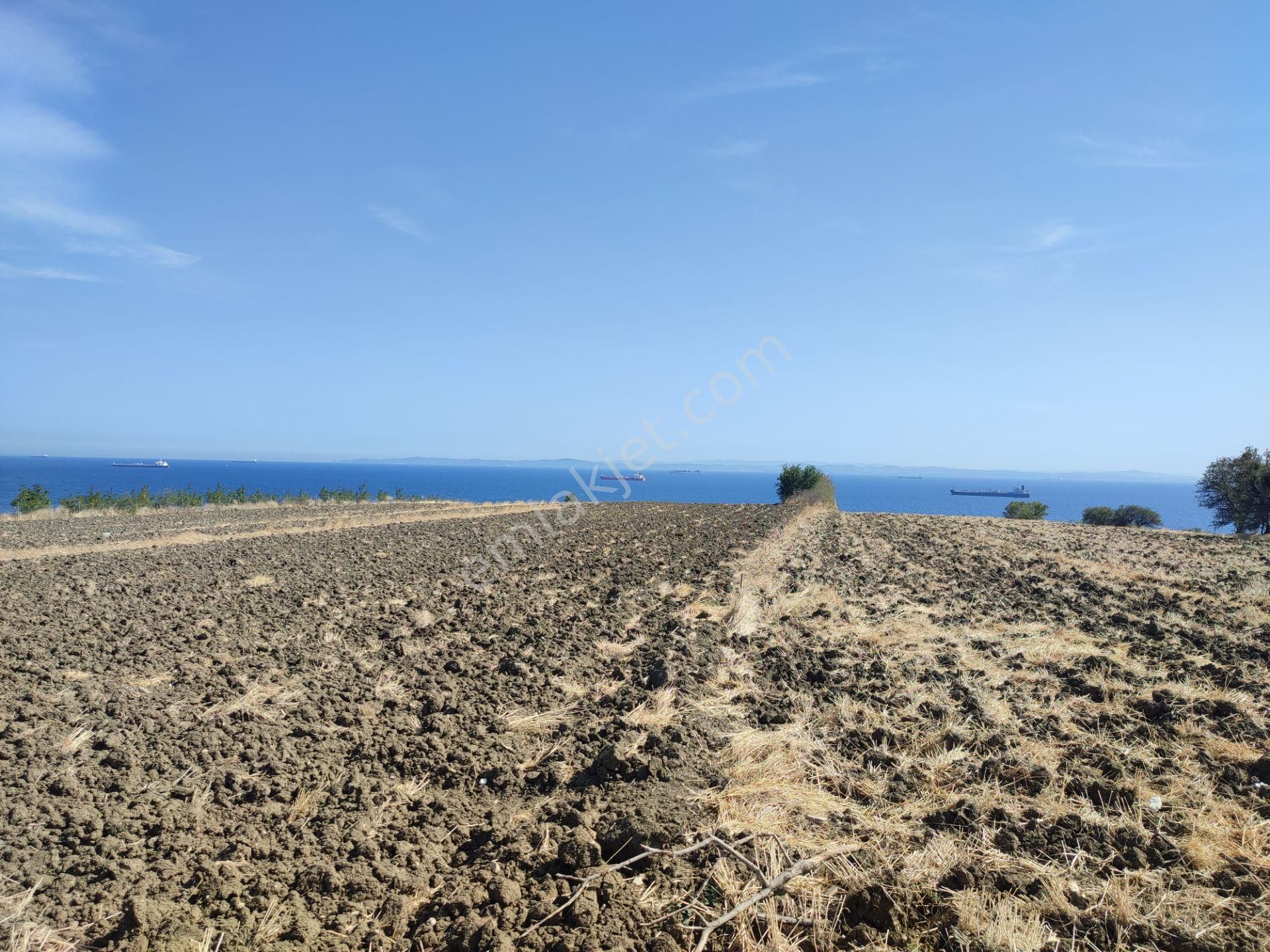 Bulut Yatırımdan 340 M² % 25 Villa İmarlı Deniz Manzaralı Arsa - Görsel 24