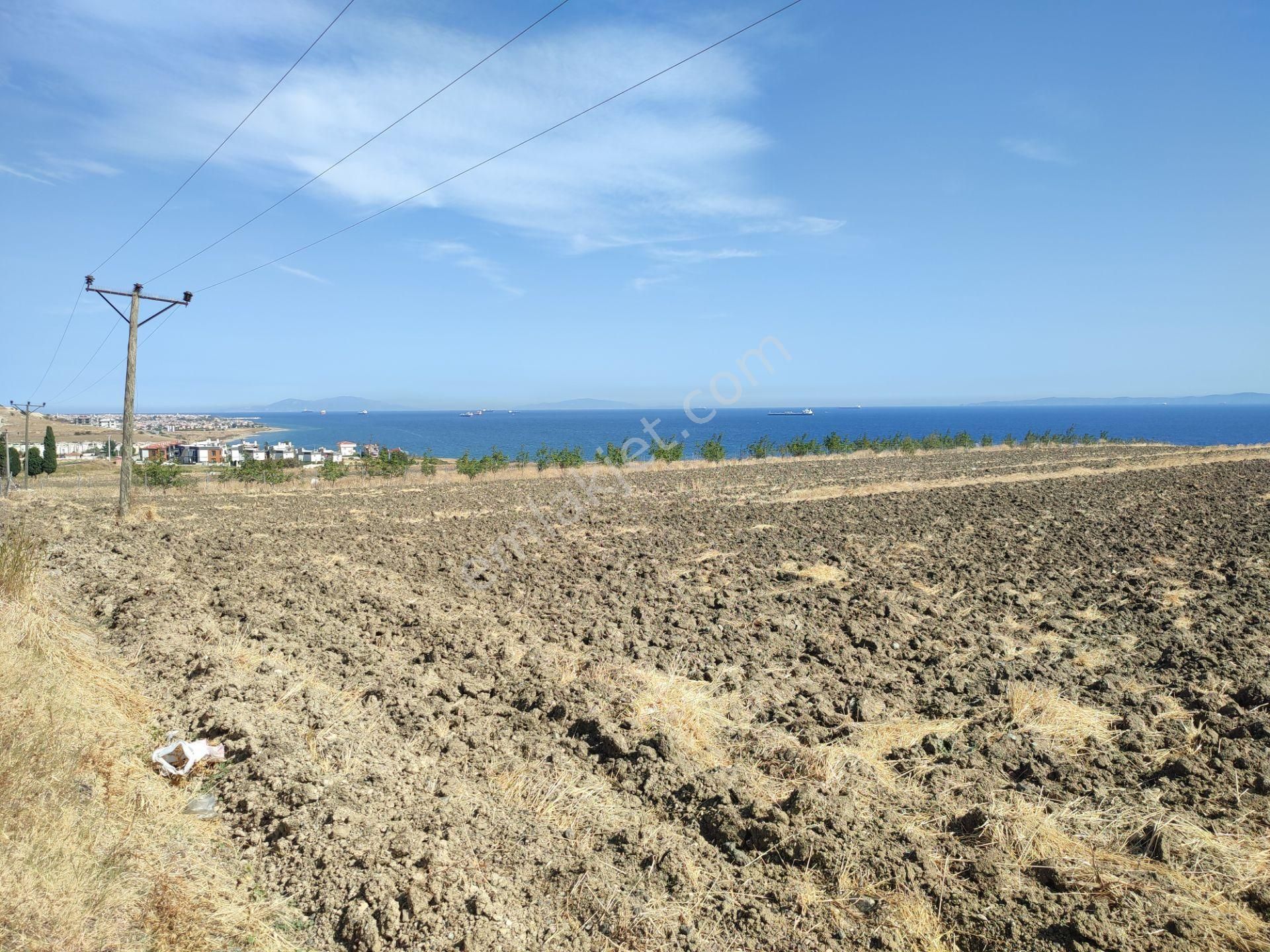 Bulut Yatırımdan 340 M² % 25 Villa İmarlı Deniz Manzaralı Arsa - Görsel 29