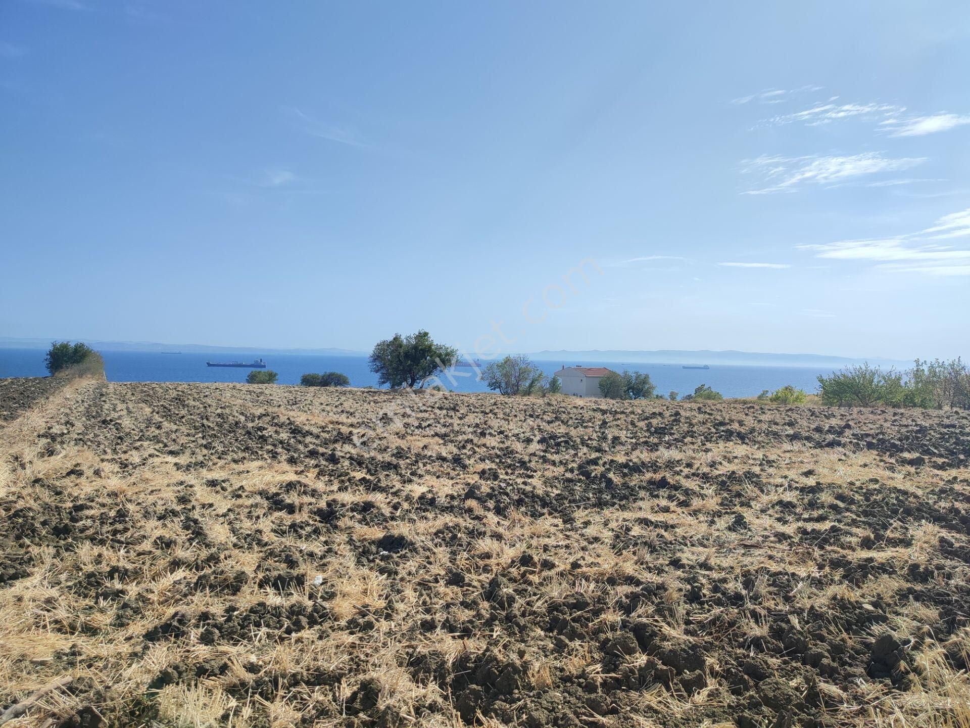 Bulut Yatırımdan 340 M² % 25 Villa İmarlı Deniz Manzaralı Arsa - Görsel 26