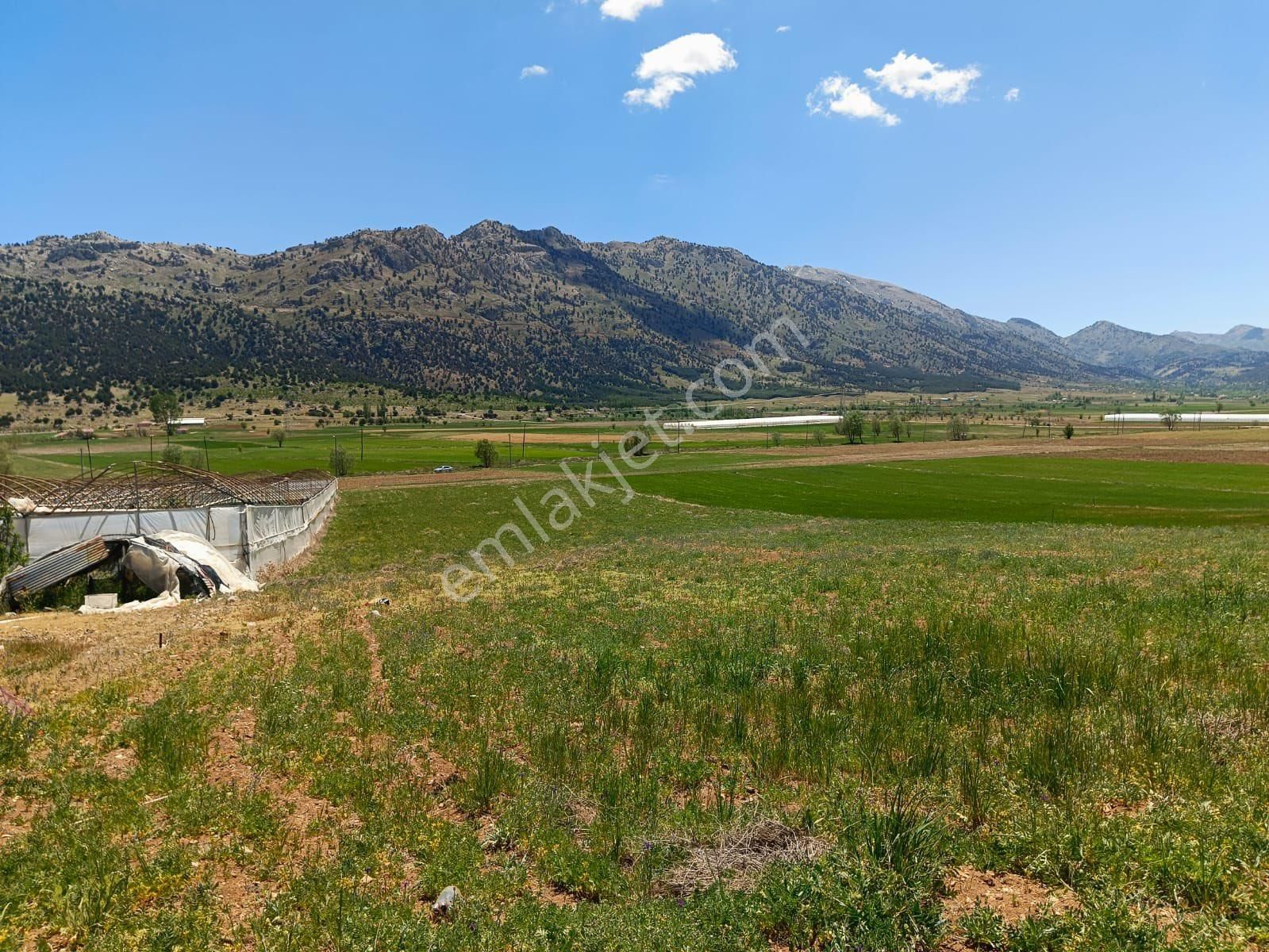 Seydikemer Kayabaşı Satılık Tarla Acil Kelepir Yazlık Yayla Çiftlik Ev Arazisi