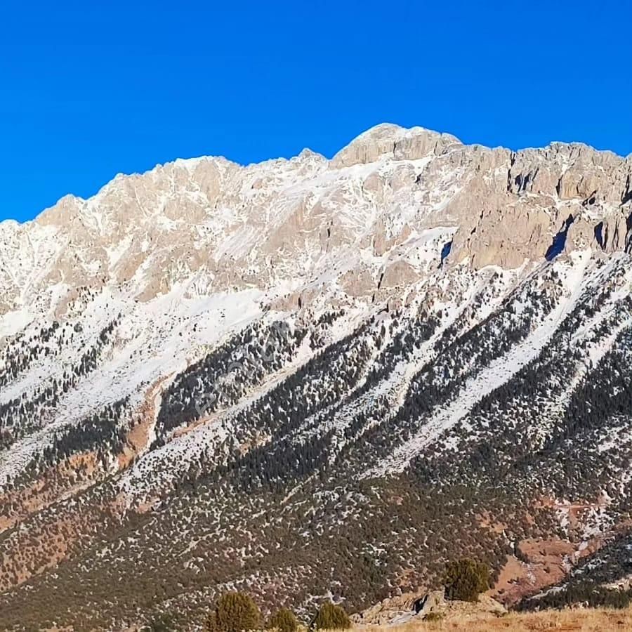 Pozantı Kar Emlaktan Kamışlı Yaylasında Satılık 500m2 Arsa - Görsel 6