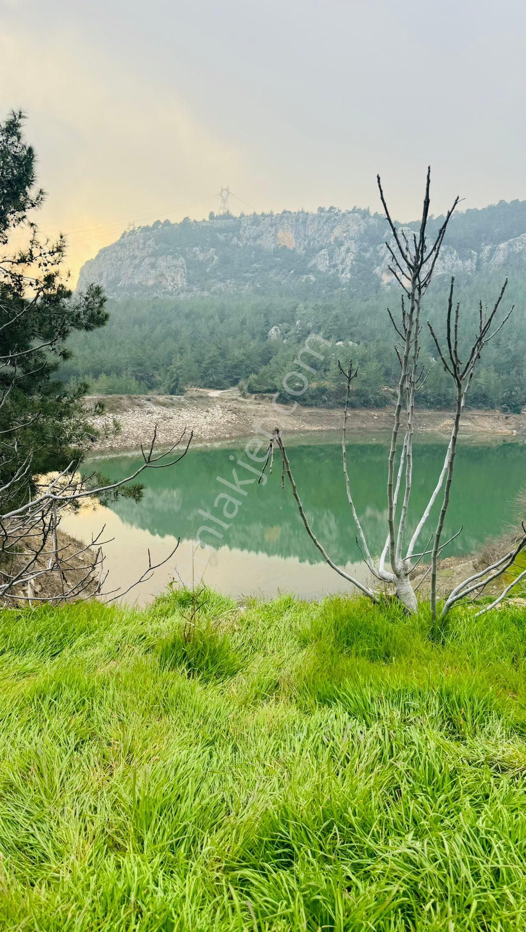 Erdemli Kösbucağı Satılık Tarla Kösbucağı Göletine Sıfır,Göl ve Doğa Manzaralı Limon Bahçesi