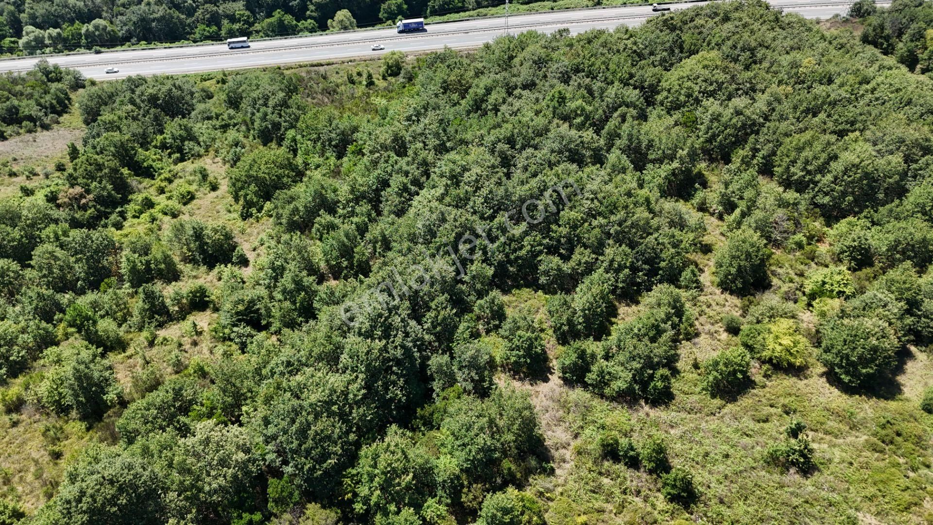 Şile Kızılcaköy 3248 M2 Özel İmarlı Satılık Arsa - Görsel 3