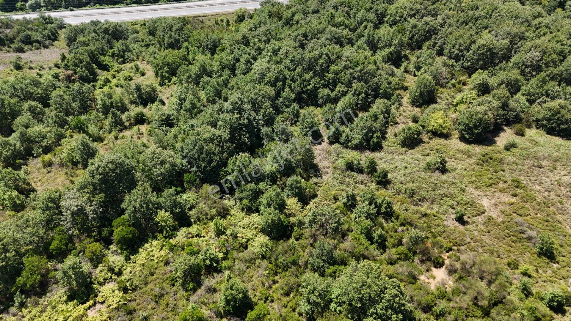 Şile Kızılcaköy 3248 M2 Özel İmarlı Satılık Arsa - Görsel 27