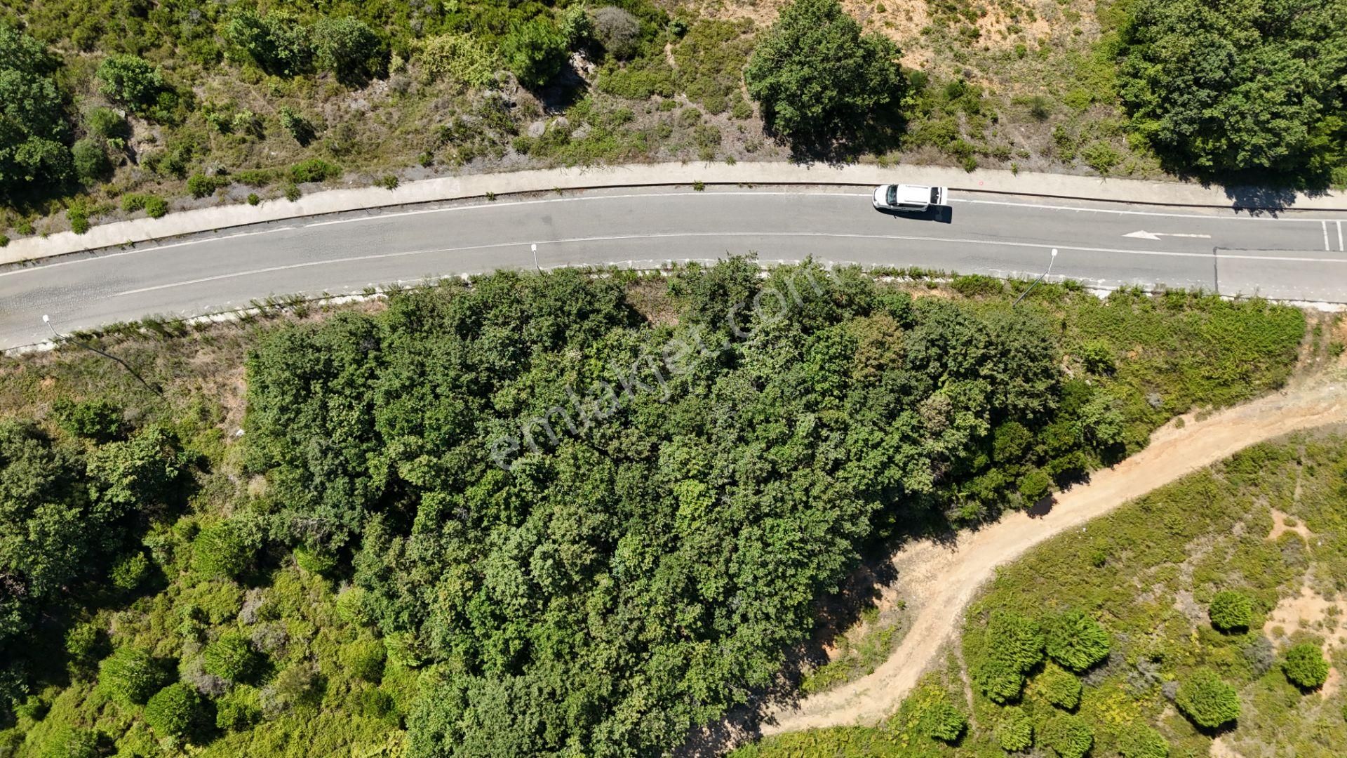 Şile Kızılcaköy 3248 M2 Özel İmarlı Satılık Arsa - Görsel 21