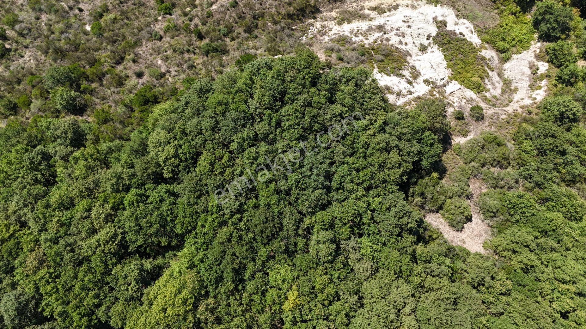 Şile Kızılcaköy 3248 M2 Özel İmarlı Satılık Arsa - Görsel 22