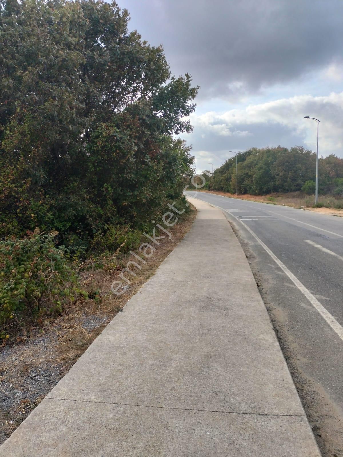 Şile Kızılcaköy 3248 M2 Özel İmarlı Satılık Arsa - Görsel 12