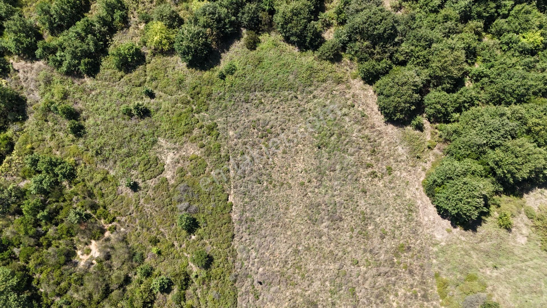 Şile Kızılcaköy 3248 M2 Özel İmarlı Satılık Arsa - Görsel 23