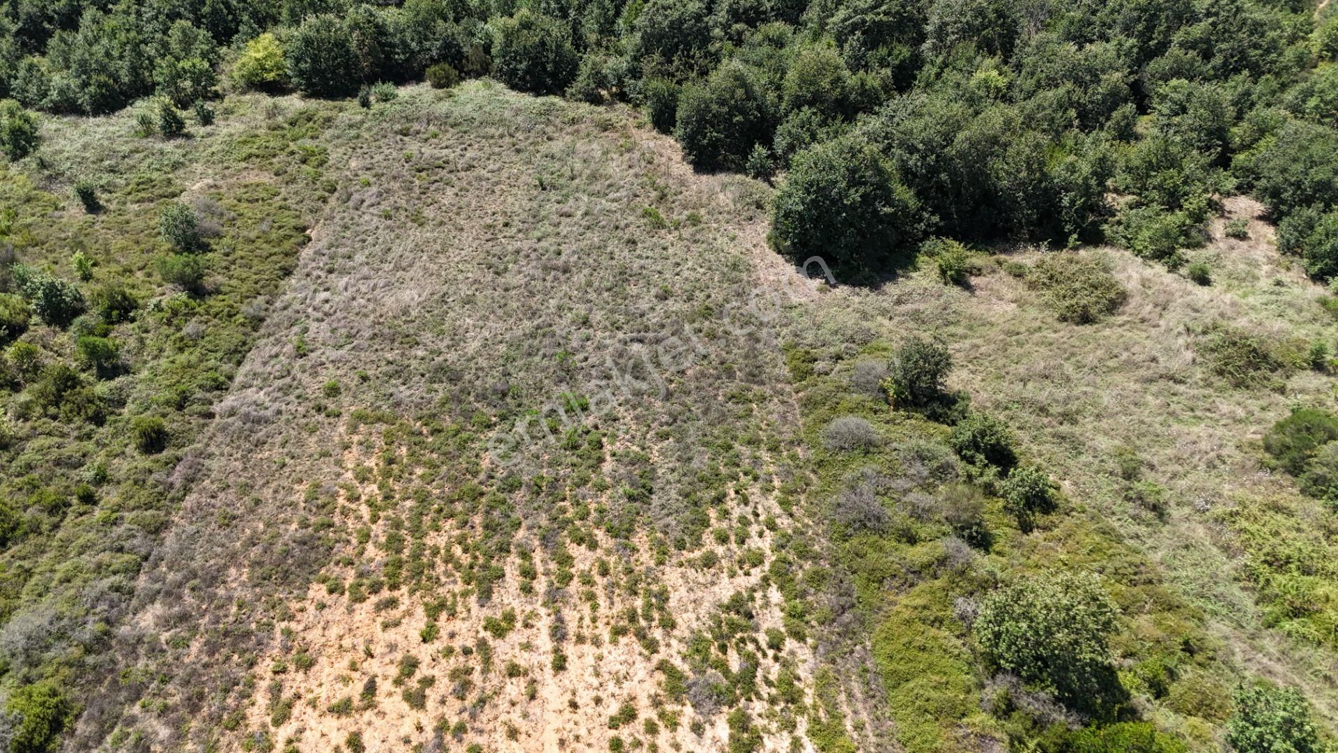 Şile Kızılcaköy 3248 M2 Özel İmarlı Satılık Arsa - Görsel 4