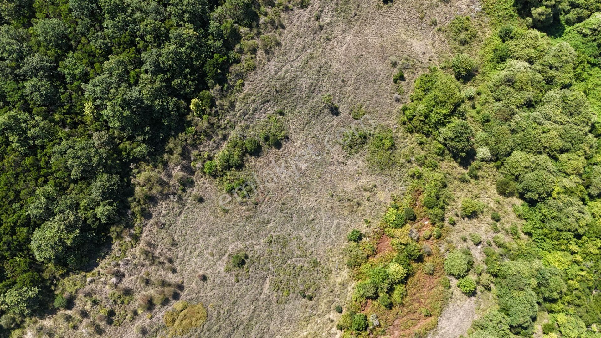 Şile Kızılcaköy 3248 M2 Özel İmarlı Satılık Arsa - Görsel 26