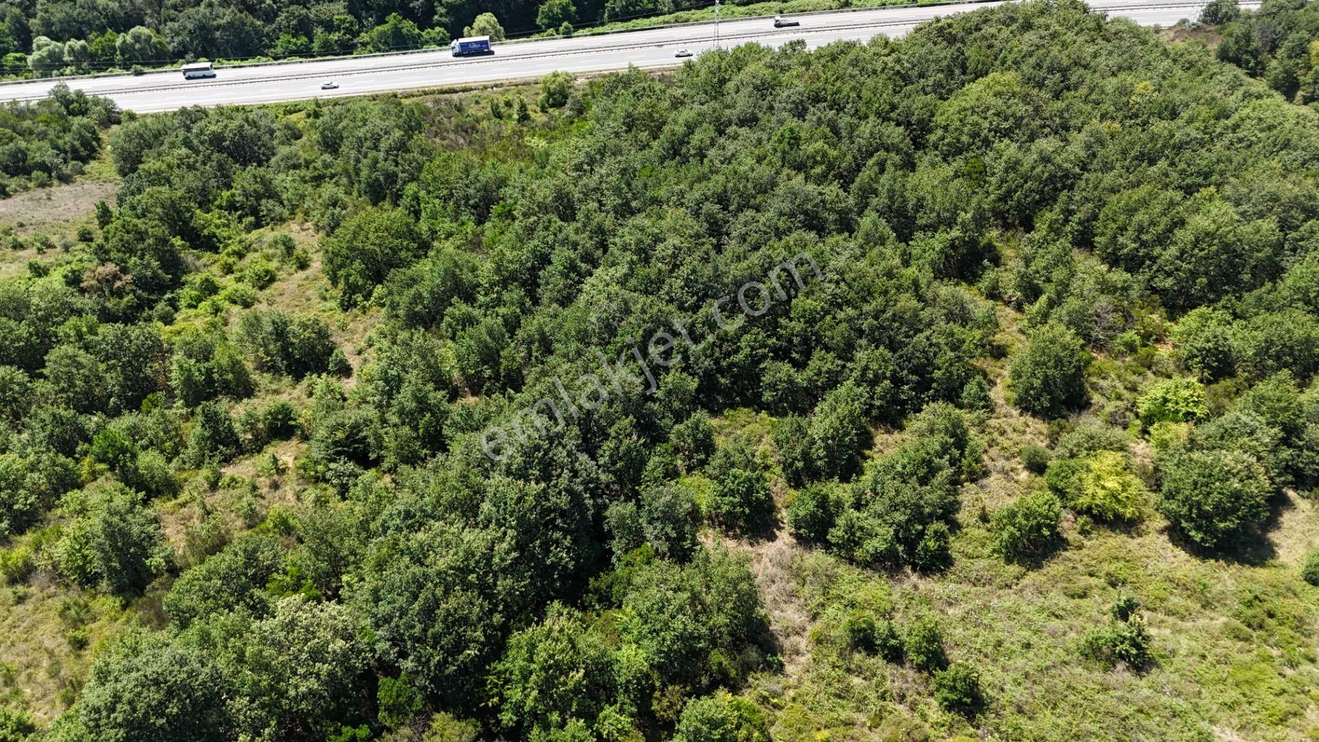 Şile Kızılcaköy 3248 M2 Özel İmarlı Satılık Arsa - Görsel 2