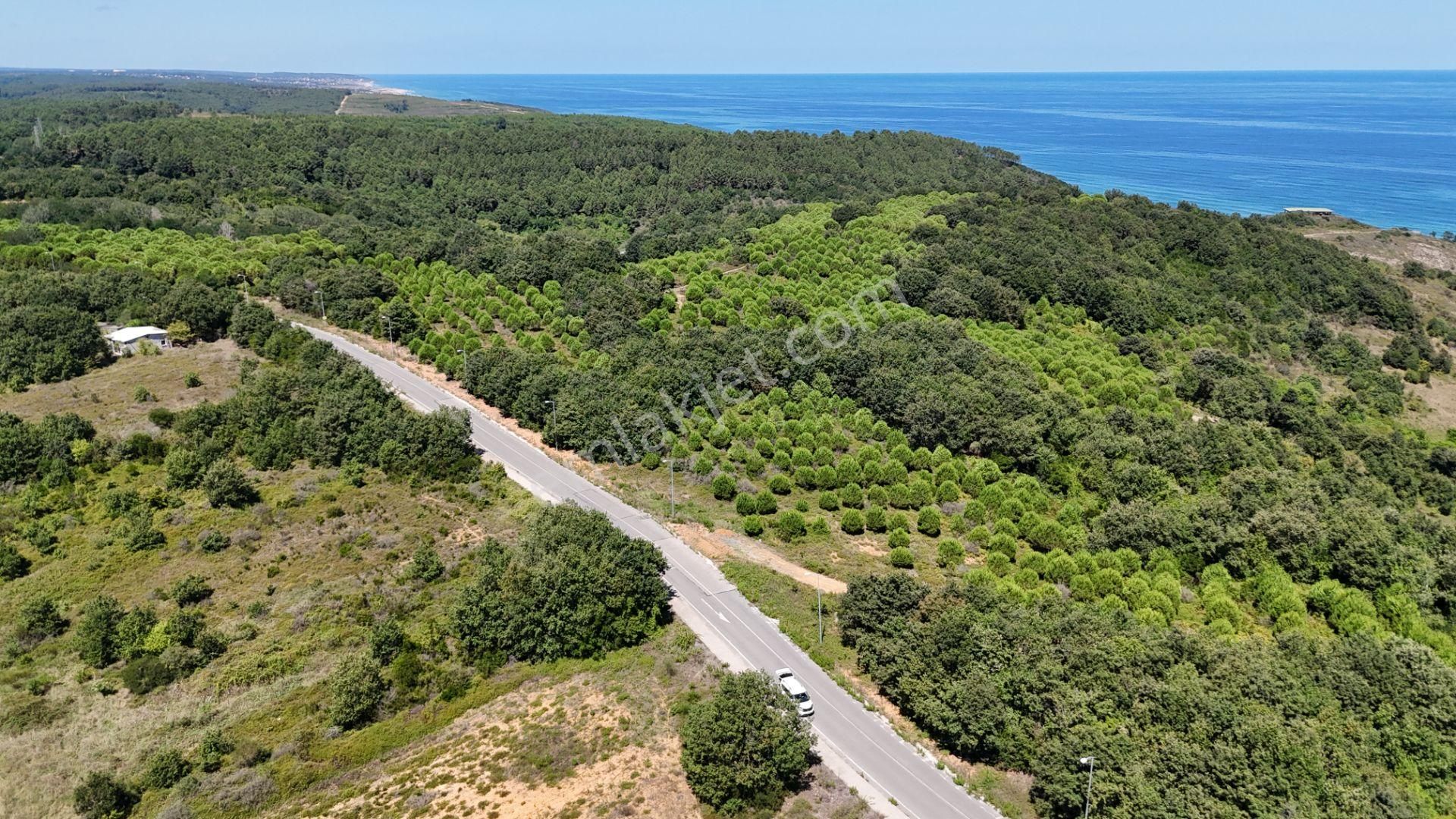 Şile Kızılca Satılık Özel Kullanım Şile Kızılcaköy 3248 M2 Özel İmarlı Satılık Arsa