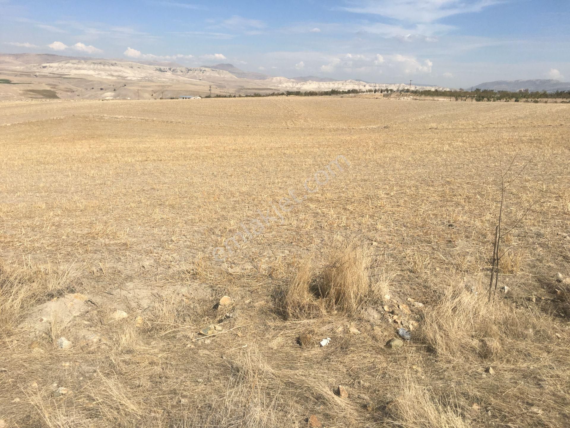 Güdül Güneyce Satılık Turizm İmarlı Arac Takasli Sahibinden Satılık Güneyce Hitit Ayaş Termal Yanı