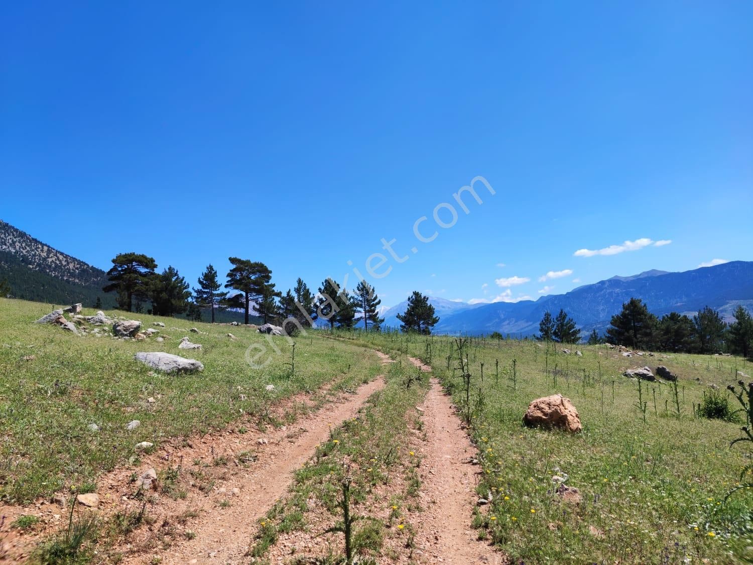 Pozantı Kar Emlaktan Körmenlik Mevkiinde Satılık 750m2 Arsa - Görsel 2