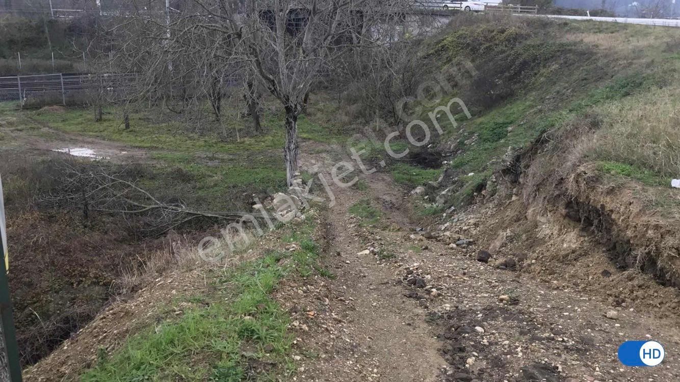 Arifiye Arifbey Satılık Ticari İmarlı SATILIK 534 M2 TİCARİ İMARLI