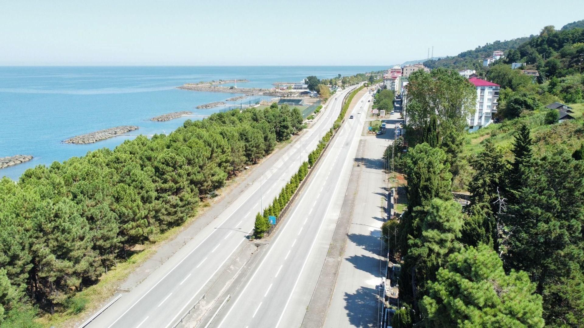 Görele Çavuşlu Bld. (Merkez) Satılık Konut İmarlı Giresun Görele Ana Yol Üstünde Satılık Arsa