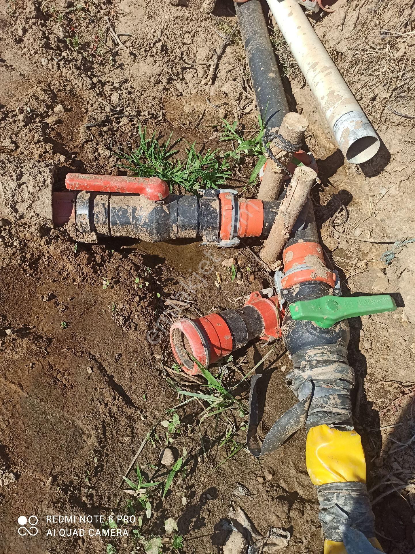 İçinde Su Elektrik Olan Meyve Bahçesi - Görsel 3