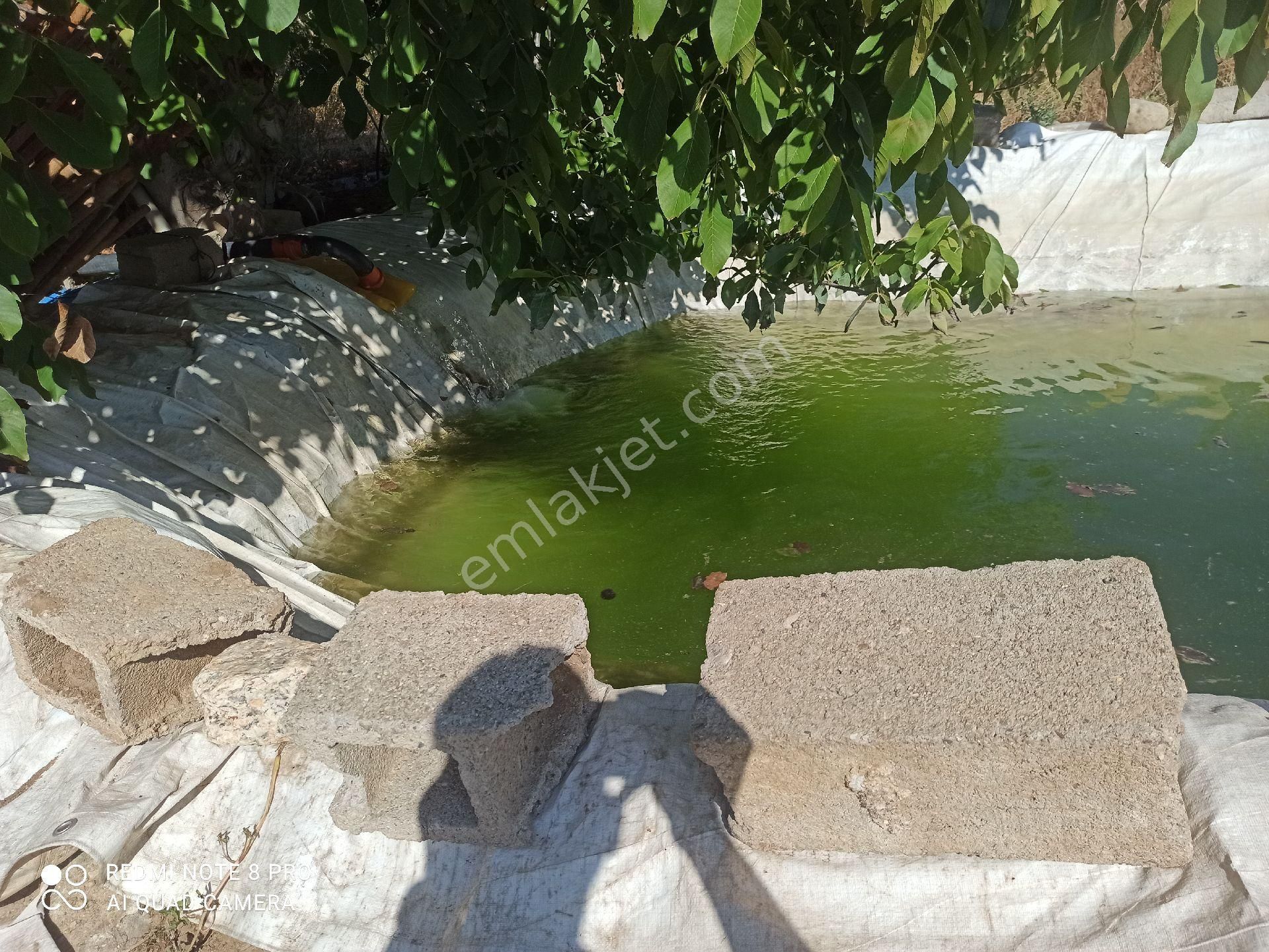 İçinde Su Elektrik Olan Meyve Bahçesi - Görsel 6