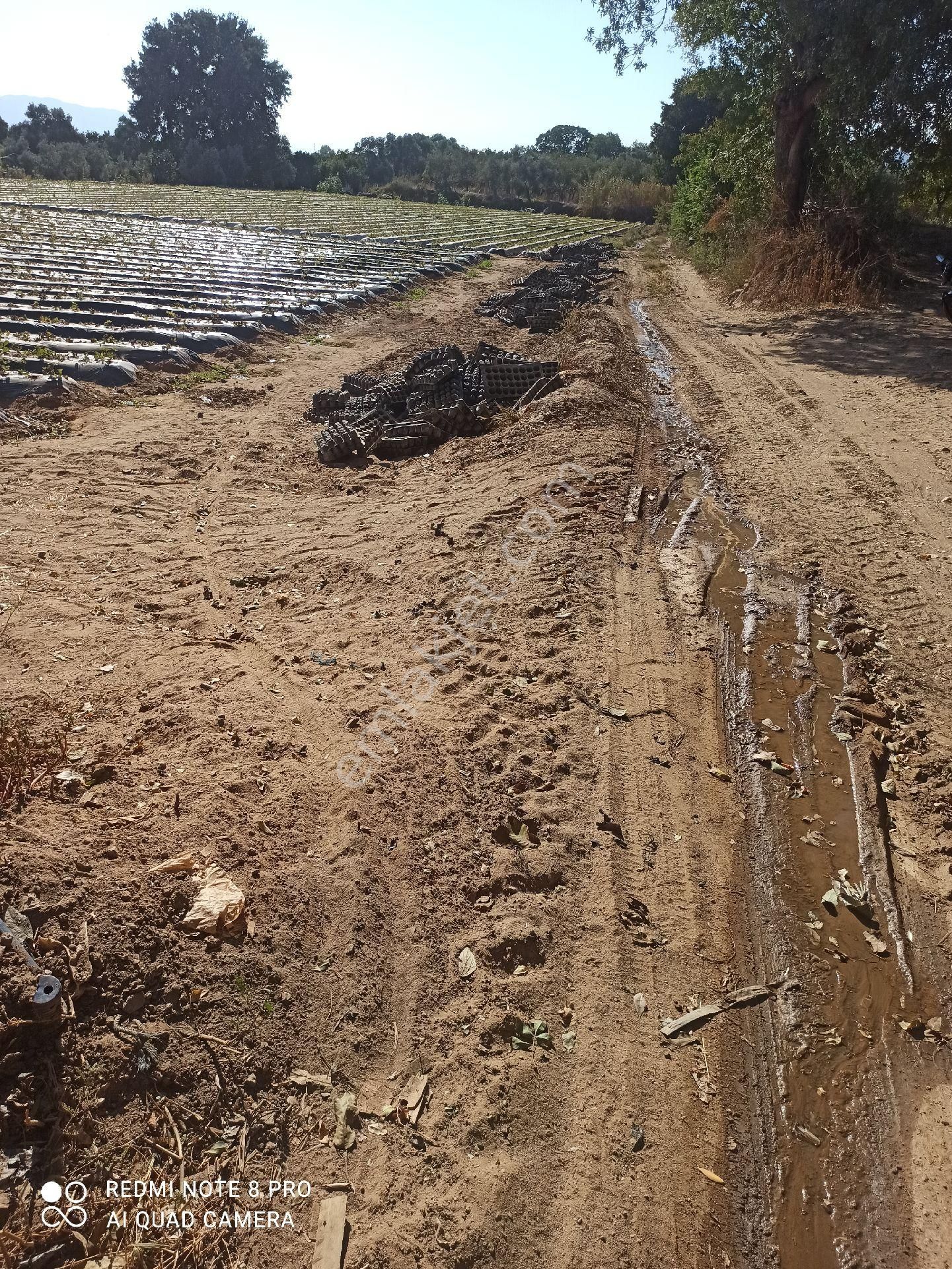 İçinde Su Elektrik Olan Meyve Bahçesi - Görsel 2