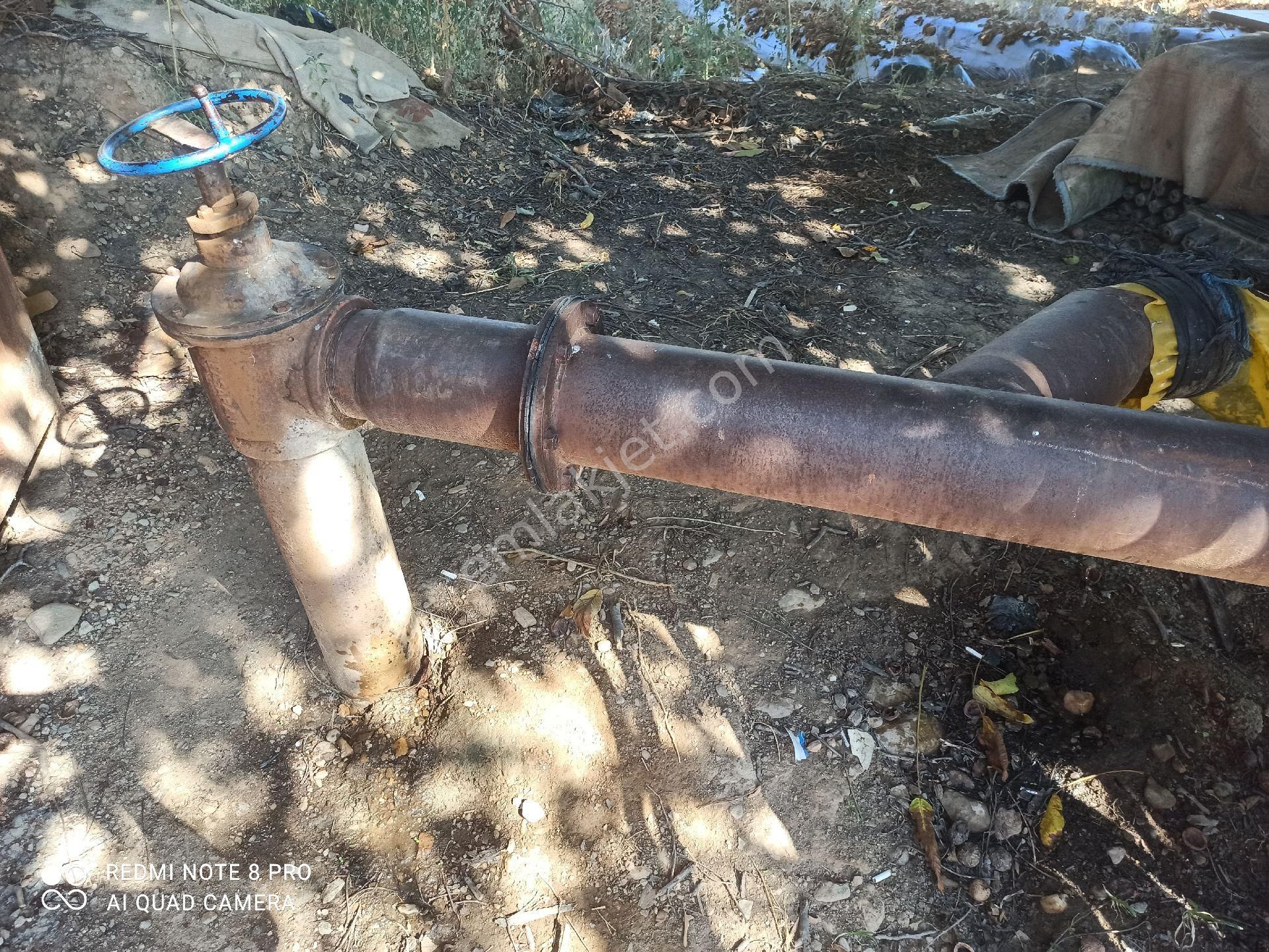 İçinde Su Elektrik Olan Meyve Bahçesi - Görsel 5