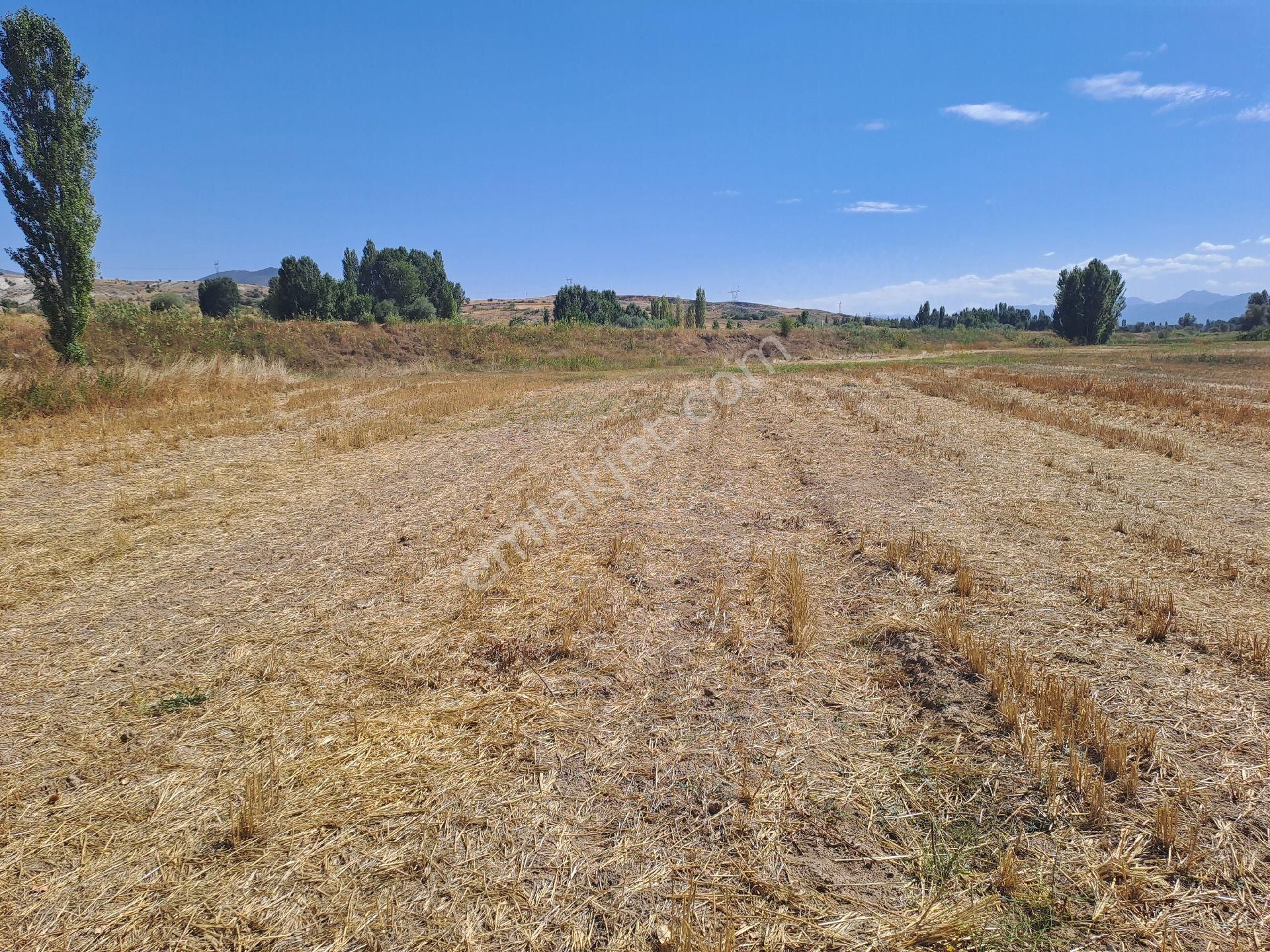 Seydişehir Gevrekli Satılık Bağ & Bahçe KONYA SEYDİŞEHİR GEVREKLİ USANMAZ EMLAKTAN TEK TAPU YOLU KANAL SUYU KANAL YOLU MEVCUT