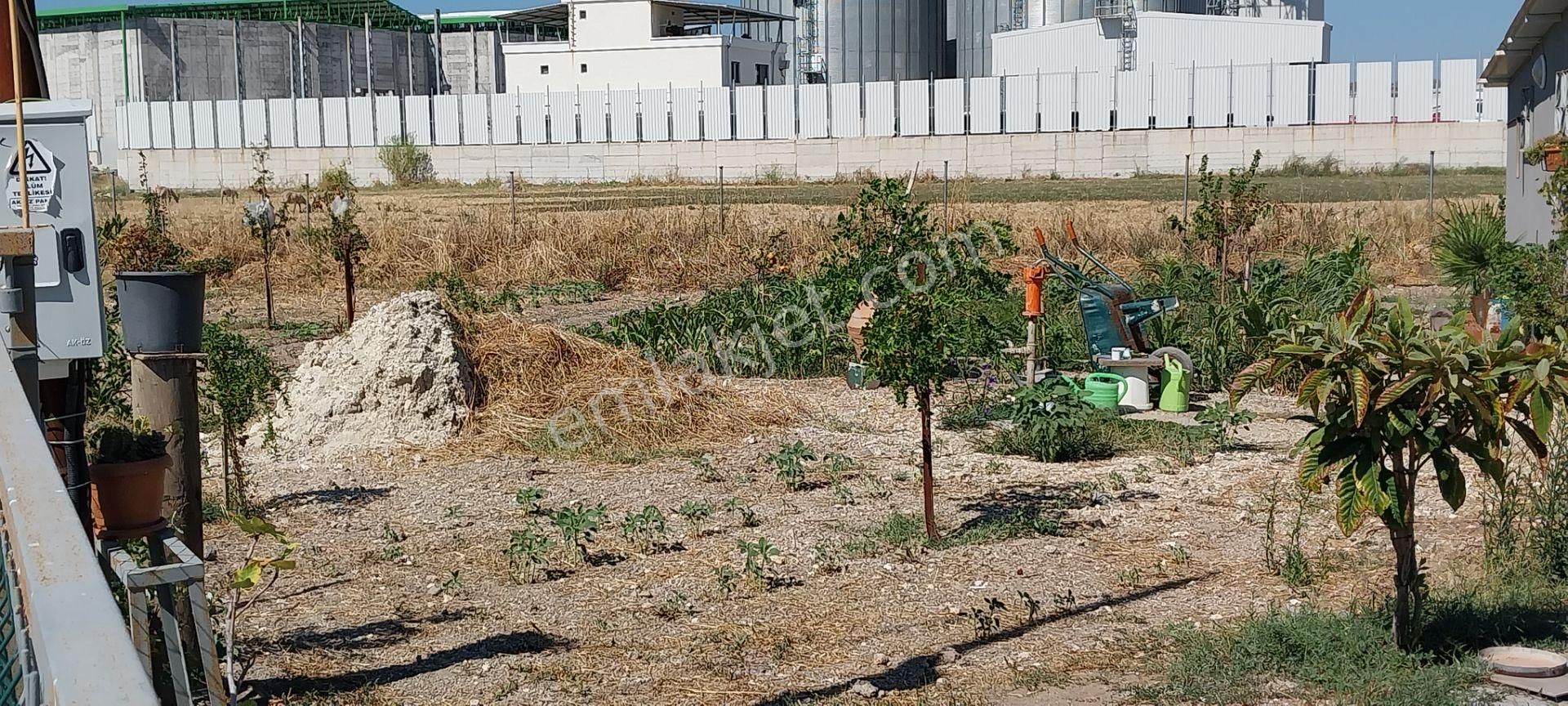 Rose Emlak'tan Satılık Tek Katlı Villa - Görsel 9