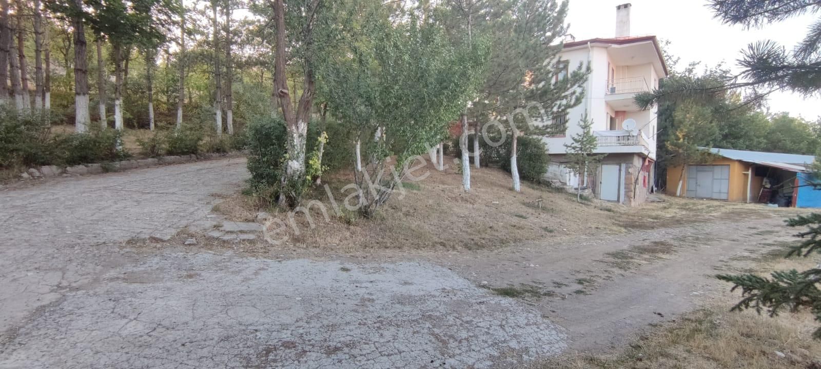 Damla Emlaktan Çayboyunda Ana Yola Cepheli Satılık Çiftlik - Görsel 30