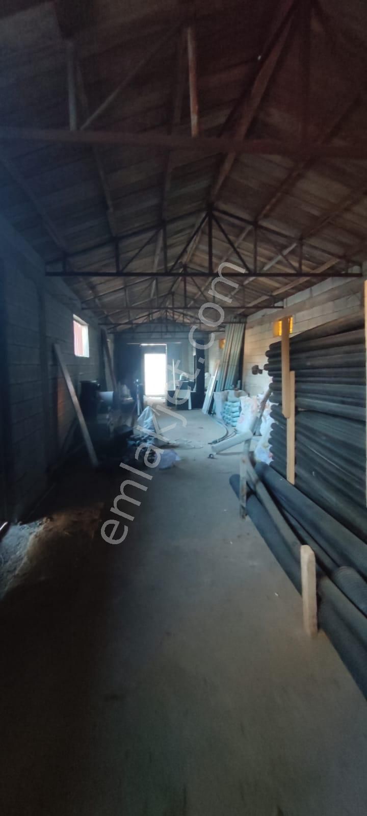 Damla Emlaktan Çayboyunda Ana Yola Cepheli Satılık Çiftlik - Görsel 5