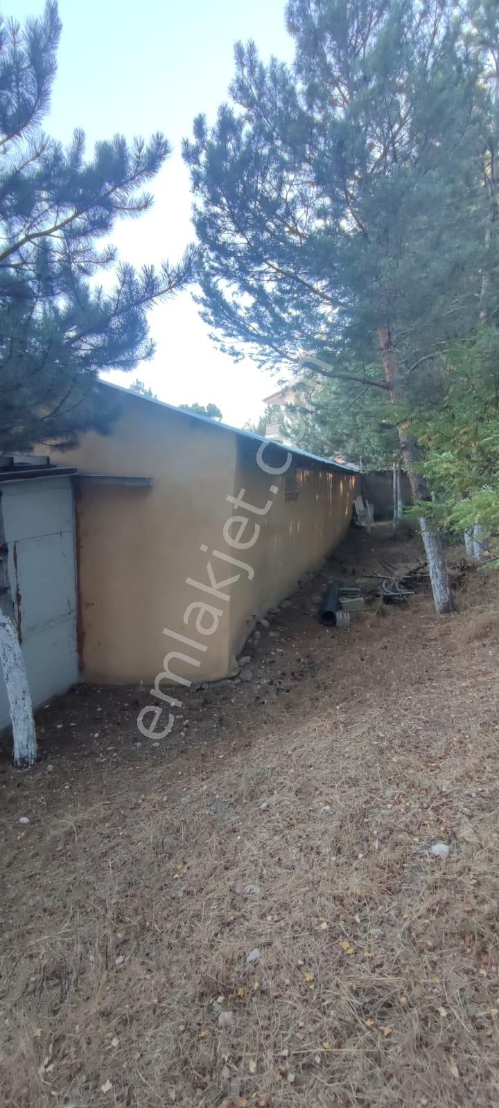 Damla Emlaktan Çayboyunda Ana Yola Cepheli Satılık Çiftlik - Görsel 25