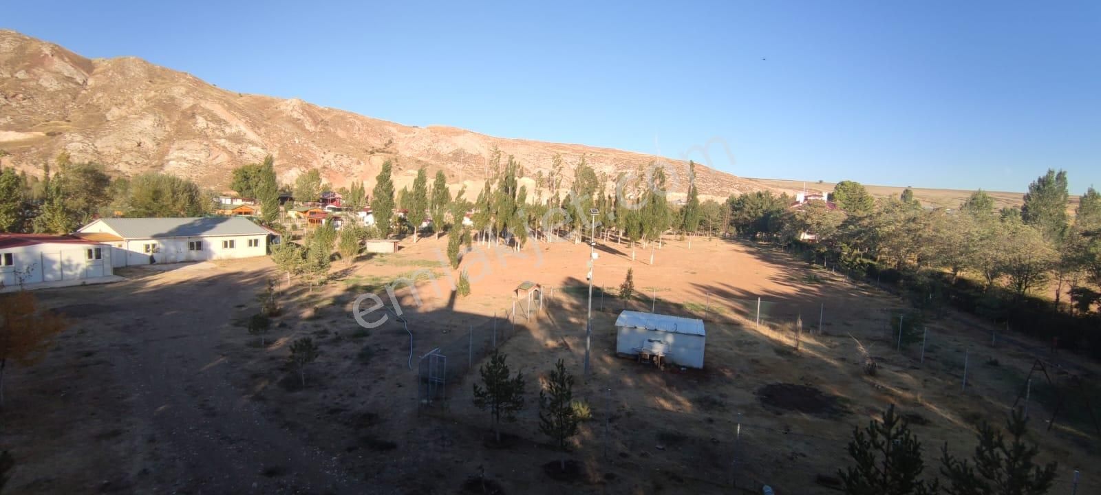 Damla Emlaktan Çayboyunda Ana Yola Cepheli Satılık Çiftlik - Görsel 22