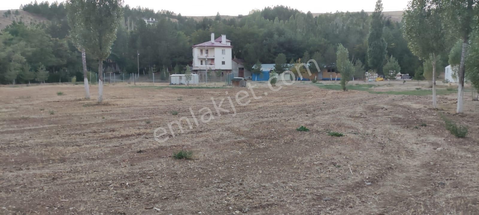 Damla Emlaktan Çayboyunda Ana Yola Cepheli Satılık Çiftlik - Görsel 27