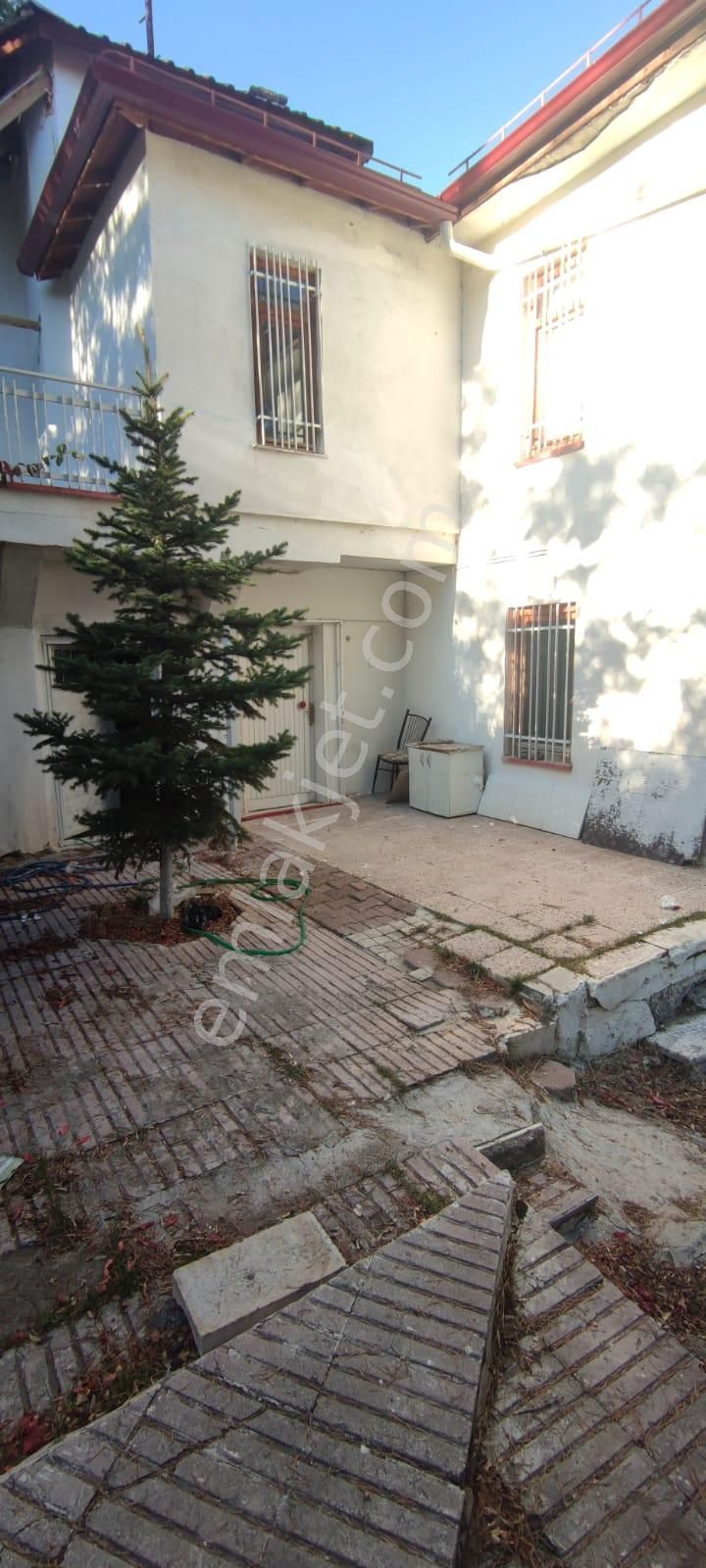 Damla Emlaktan Çayboyunda Ana Yola Cepheli Satılık Çiftlik - Görsel 12