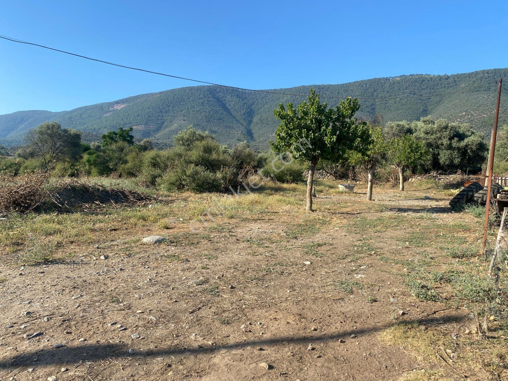 Milas Bafada 1008 M² Konut İmarlı Arsa - Görsel 21