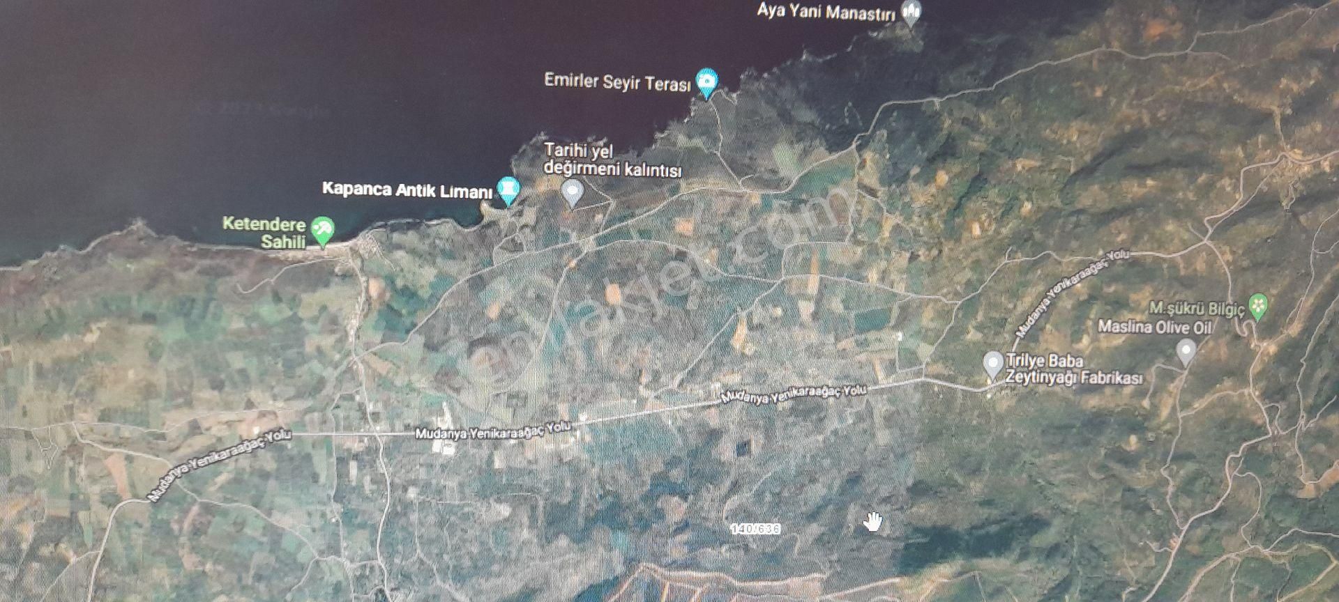 Bengisu Gayrimenkul Den Satılık Tarla - Görsel 4